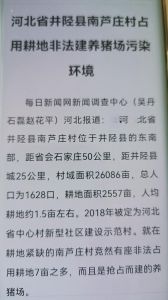 河北省井陉县南芦庄村占用耕地非法建养猪场