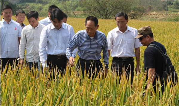 传承“杂交水稻之父”遗志 保障国家粮食安