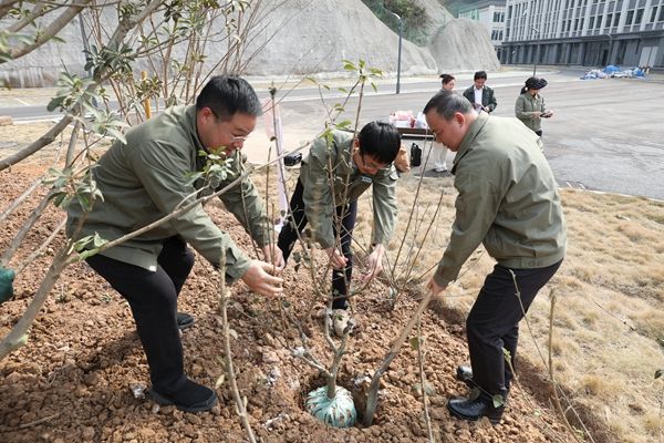 国网超高压公司宜昌运维分部开展植树活动