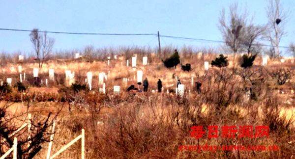 辽宁营口—芦屯镇多个村中集体土地被承包户